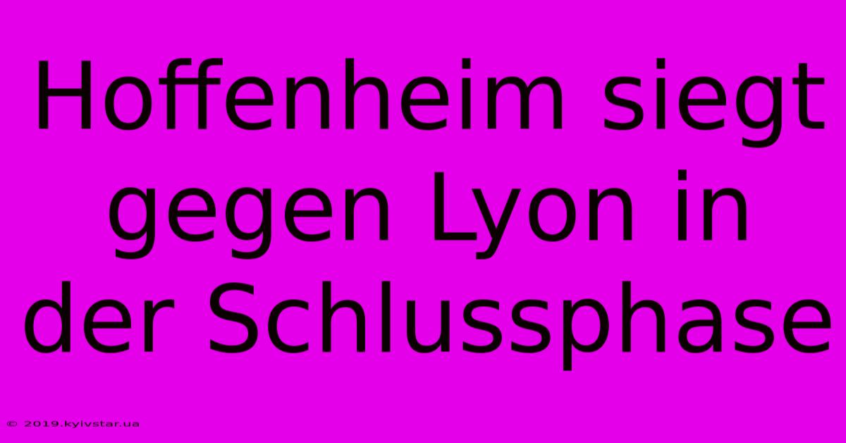 Hoffenheim Siegt Gegen Lyon In Der Schlussphase