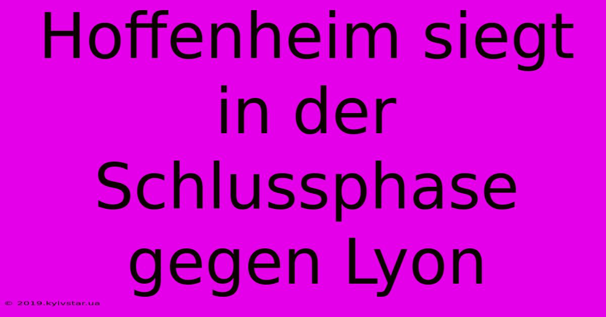 Hoffenheim Siegt In Der Schlussphase Gegen Lyon