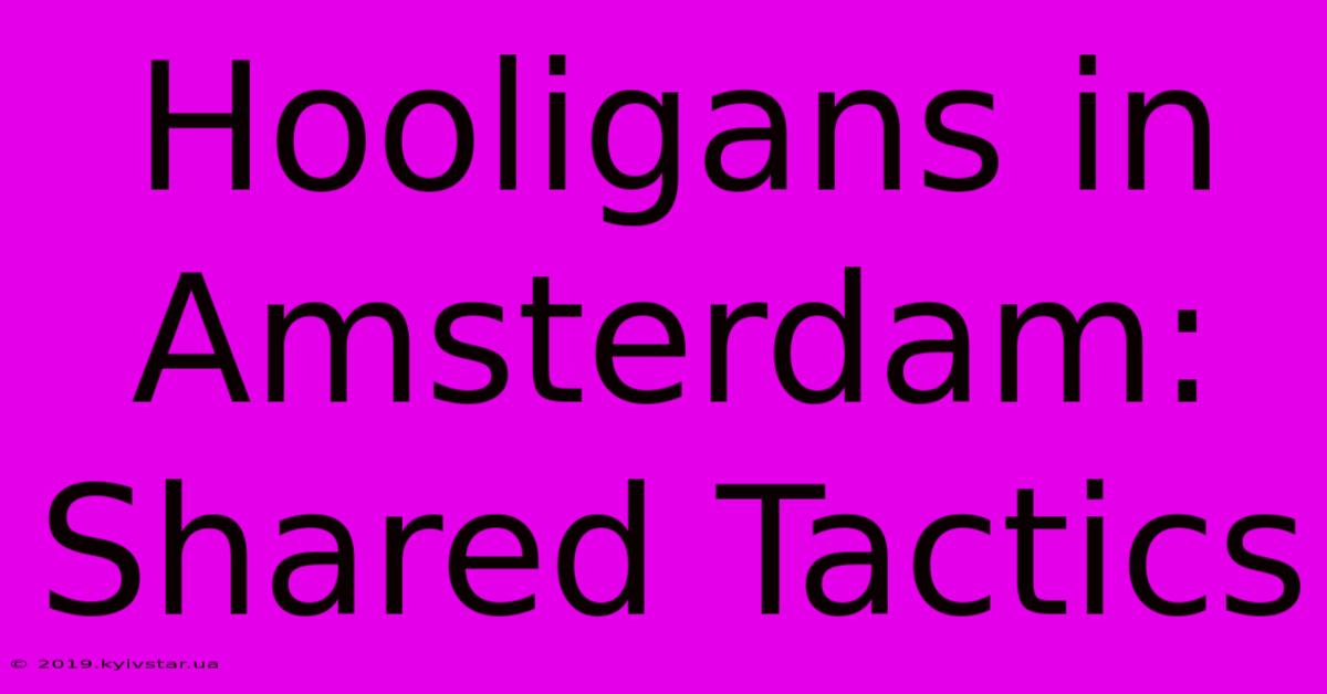 Hooligans In Amsterdam: Shared Tactics