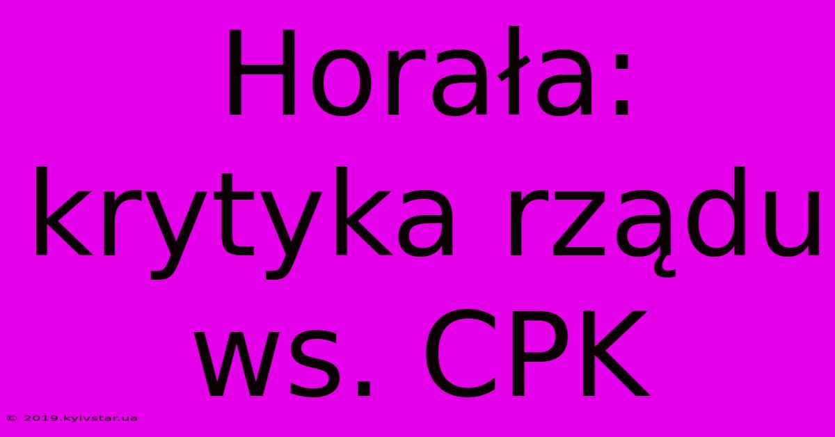 Horała: Krytyka Rządu Ws. CPK