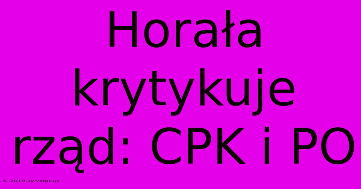 Horała Krytykuje Rząd: CPK I PO