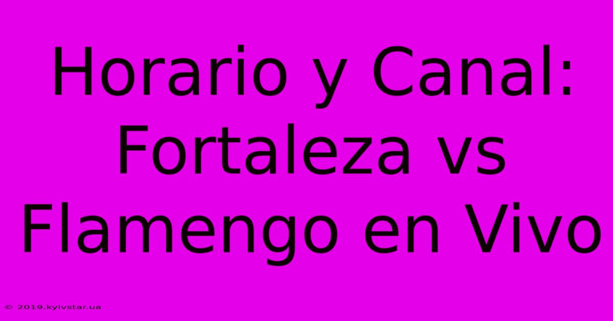 Horario Y Canal: Fortaleza Vs Flamengo En Vivo