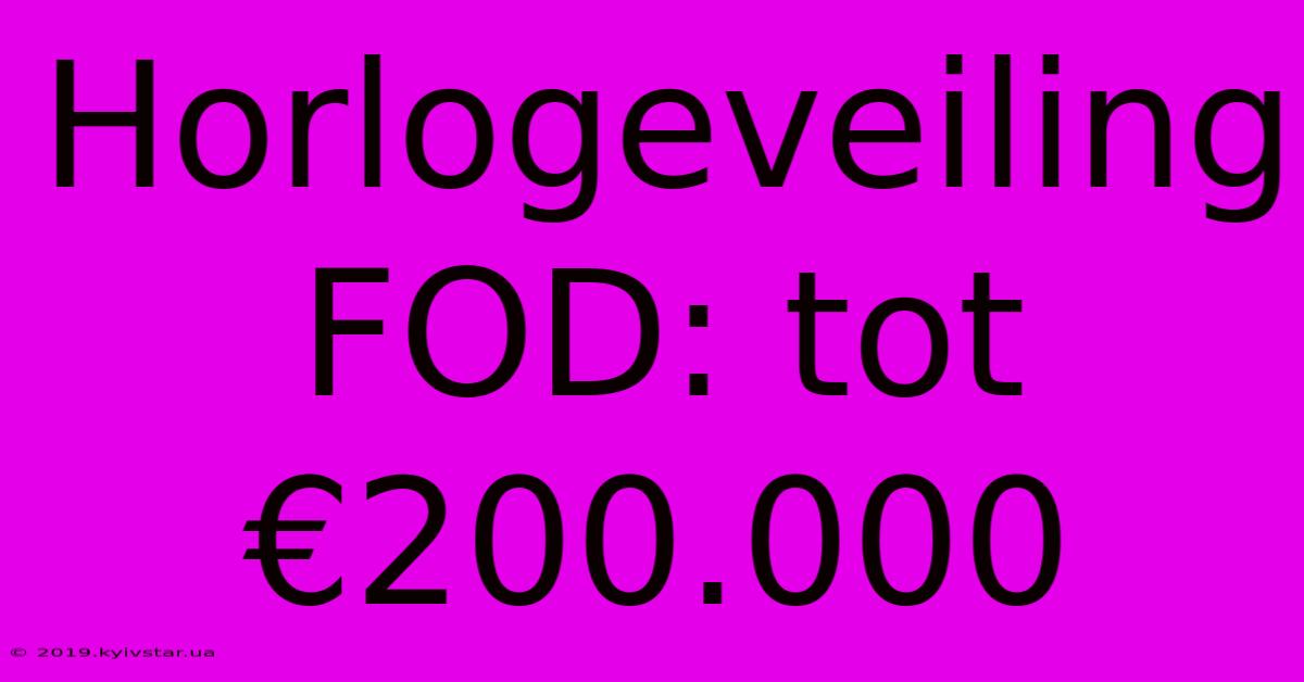 Horlogeveiling FOD: Tot €200.000