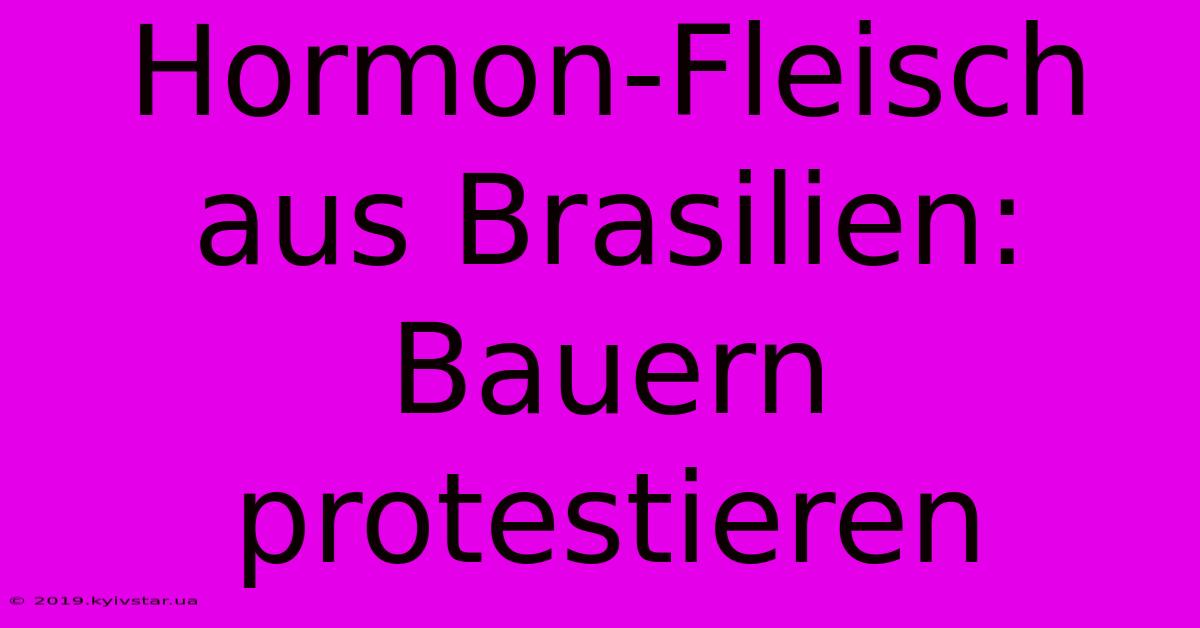 Hormon-Fleisch Aus Brasilien: Bauern Protestieren