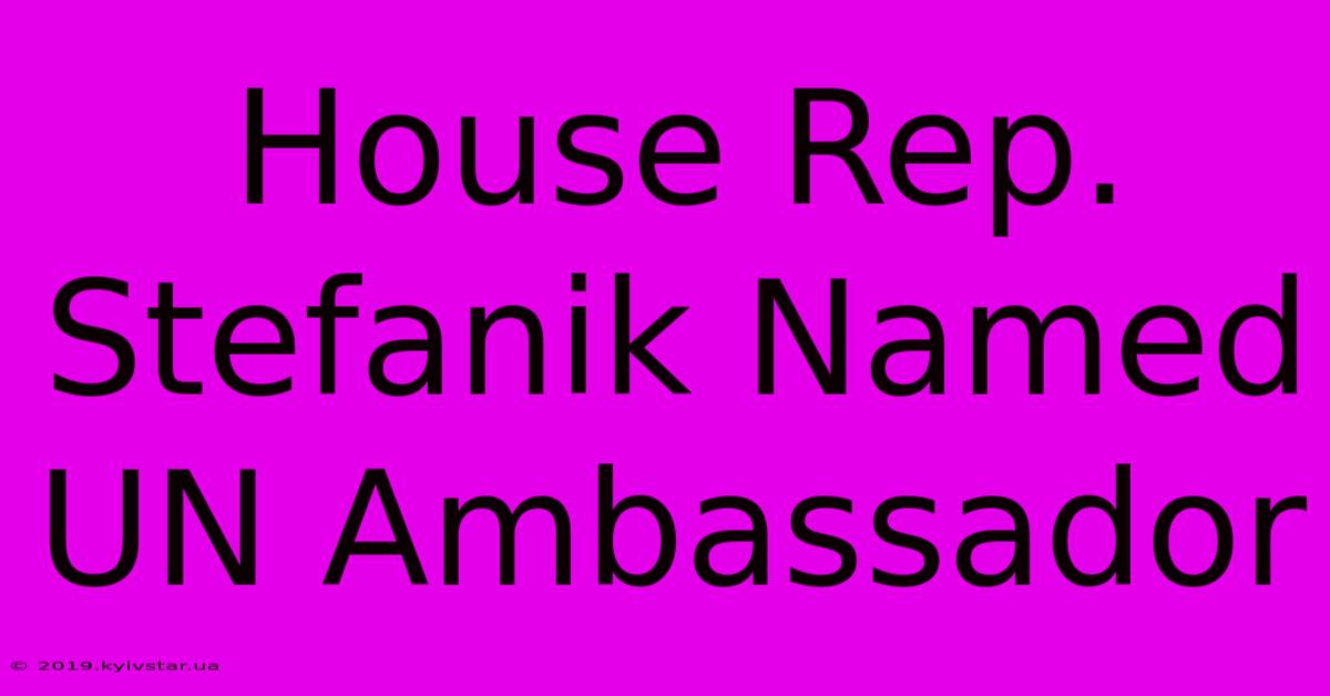 House Rep. Stefanik Named UN Ambassador