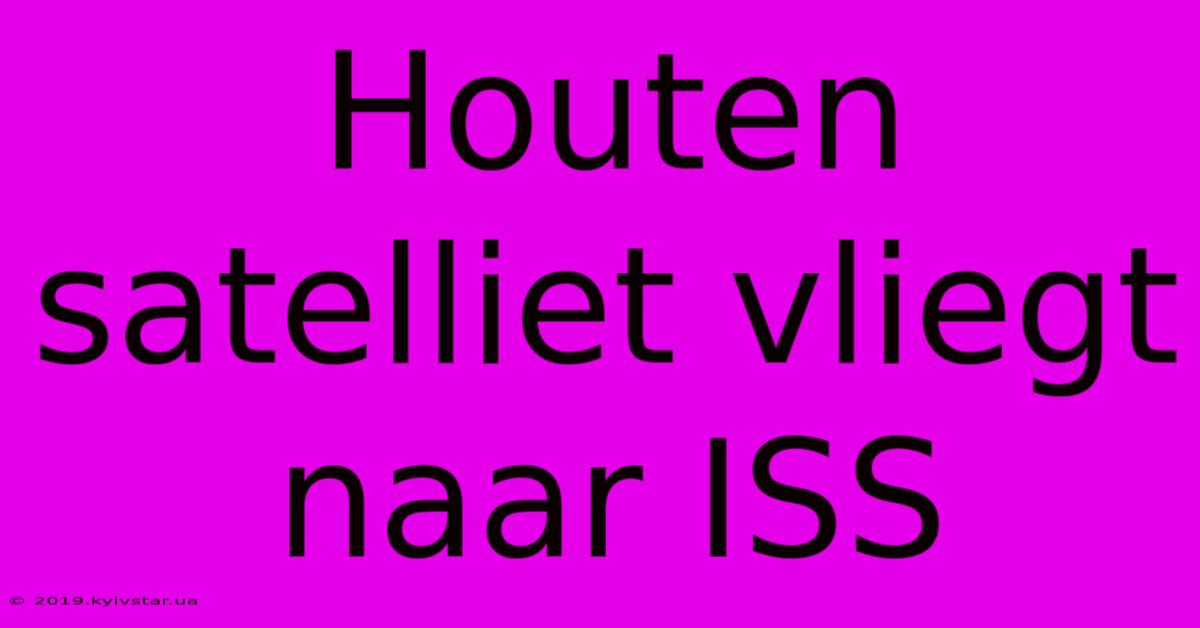 Houten Satelliet Vliegt Naar ISS