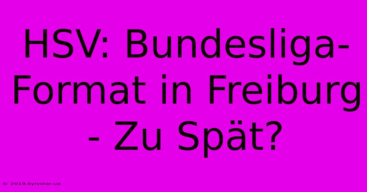 HSV: Bundesliga-Format In Freiburg - Zu Spät? 