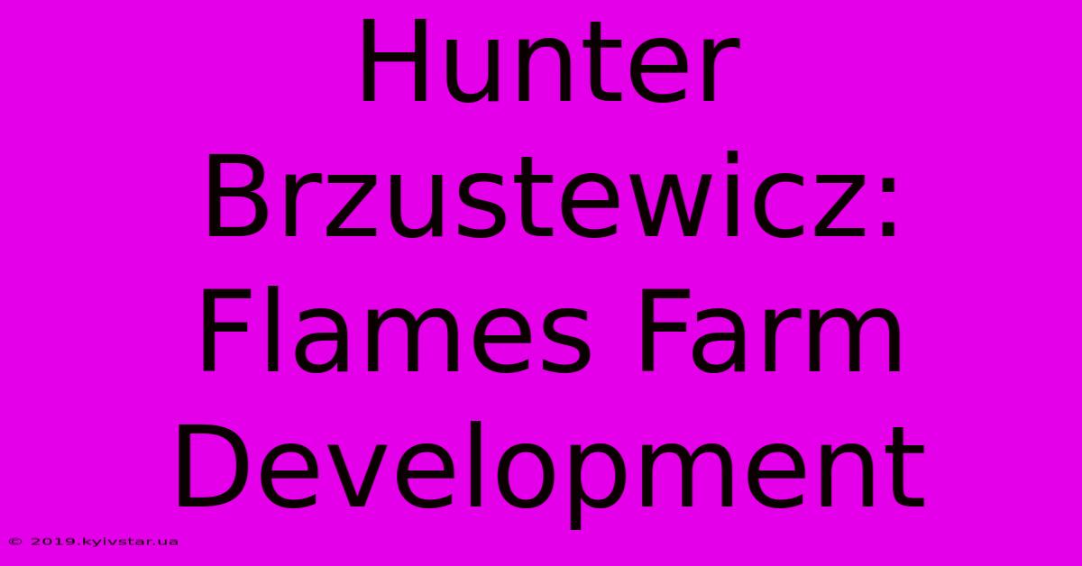 Hunter Brzustewicz: Flames Farm Development