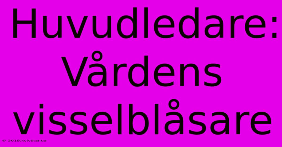 Huvudledare: Vårdens Visselblåsare