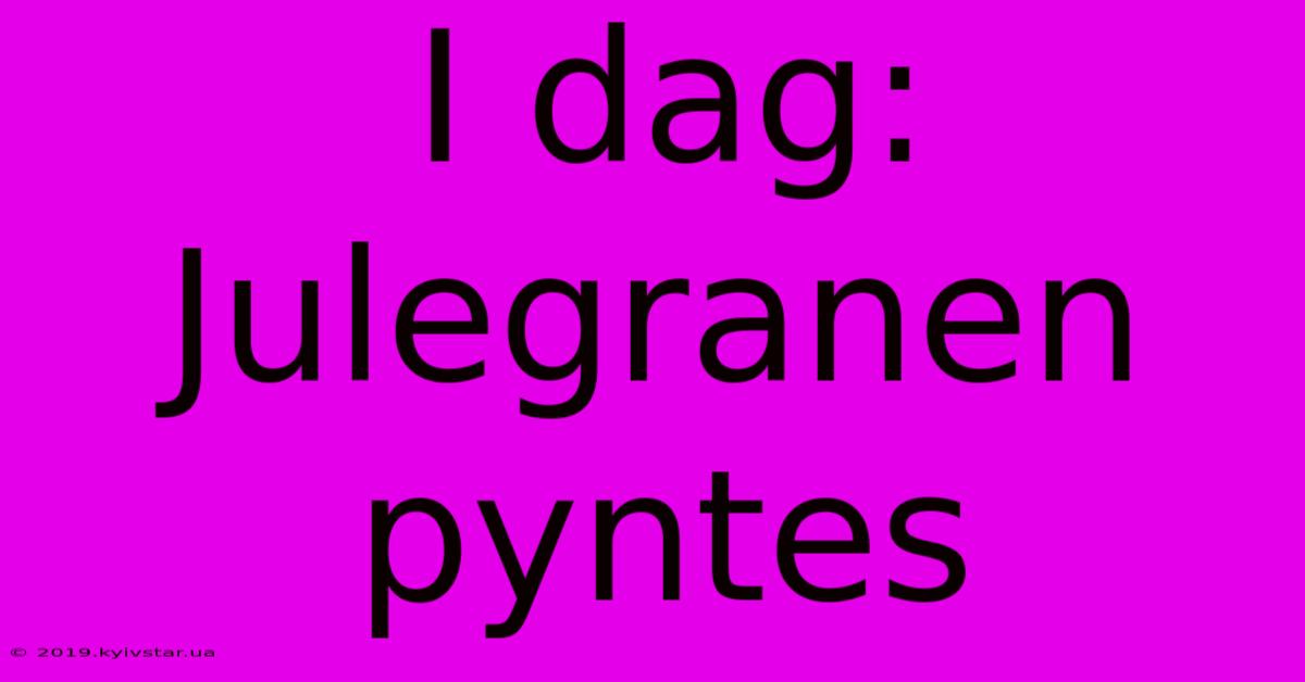 I Dag: Julegranen Pyntes