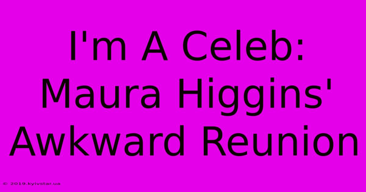 I'm A Celeb: Maura Higgins' Awkward Reunion