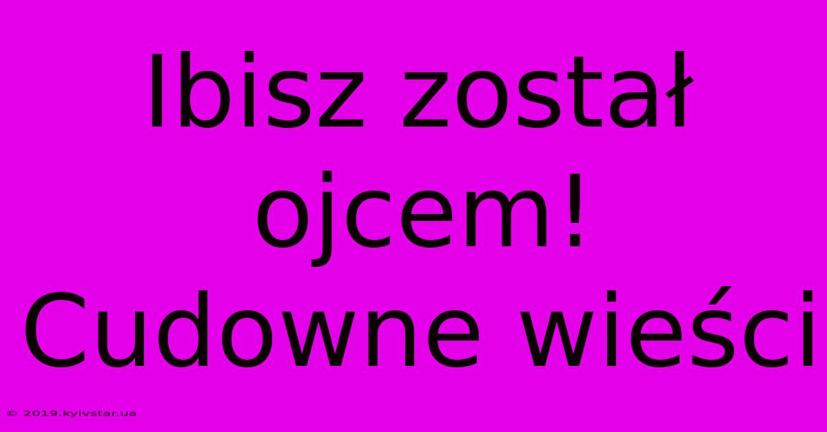 Ibisz Został Ojcem! Cudowne Wieści