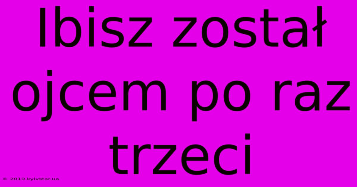 Ibisz Został Ojcem Po Raz Trzeci