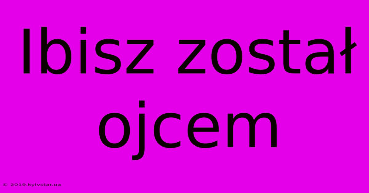 Ibisz Został Ojcem