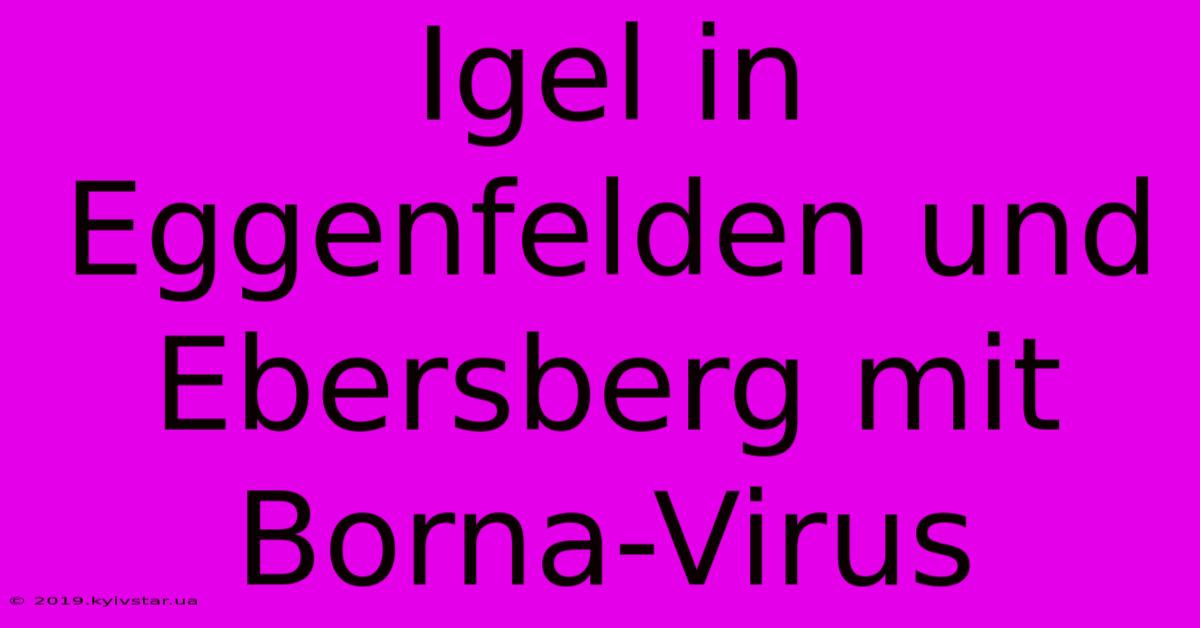 Igel In Eggenfelden Und Ebersberg Mit Borna-Virus