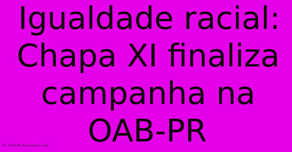 Igualdade Racial: Chapa XI Finaliza Campanha Na OAB-PR