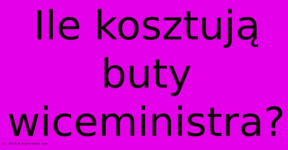 Ile Kosztują Buty Wiceministra?