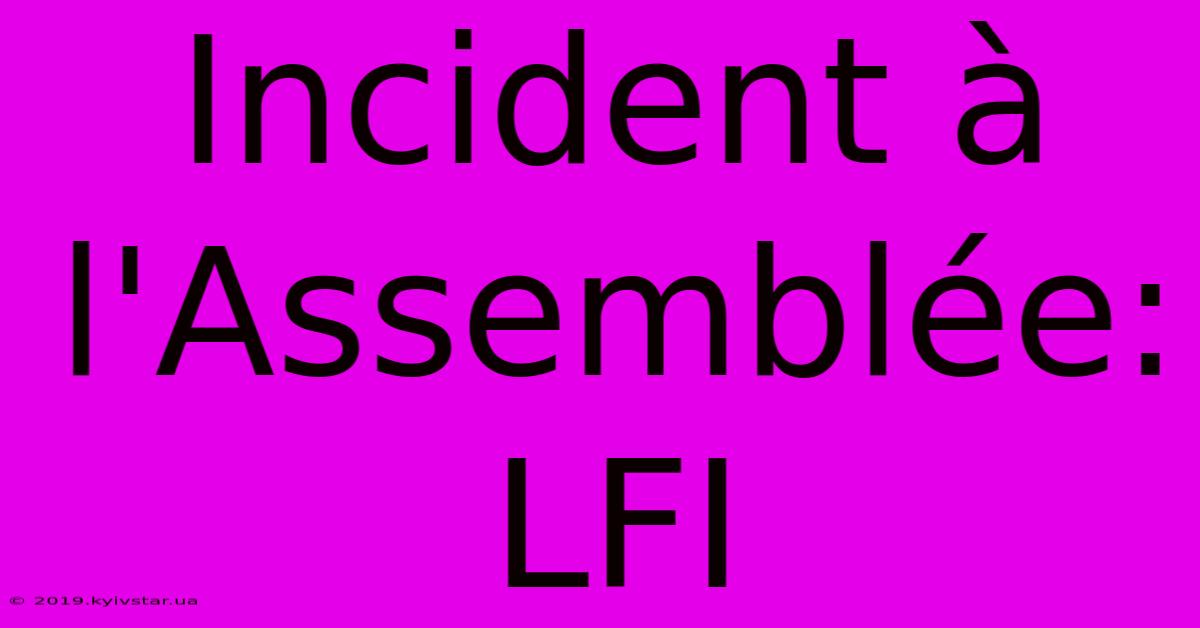 Incident À L'Assemblée: LFI