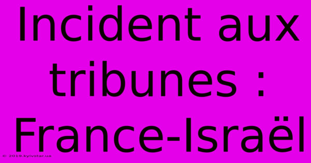 Incident Aux Tribunes : France-Israël 