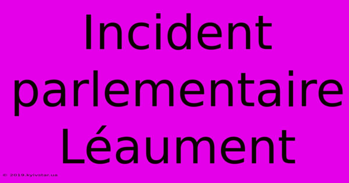 Incident Parlementaire Léaument