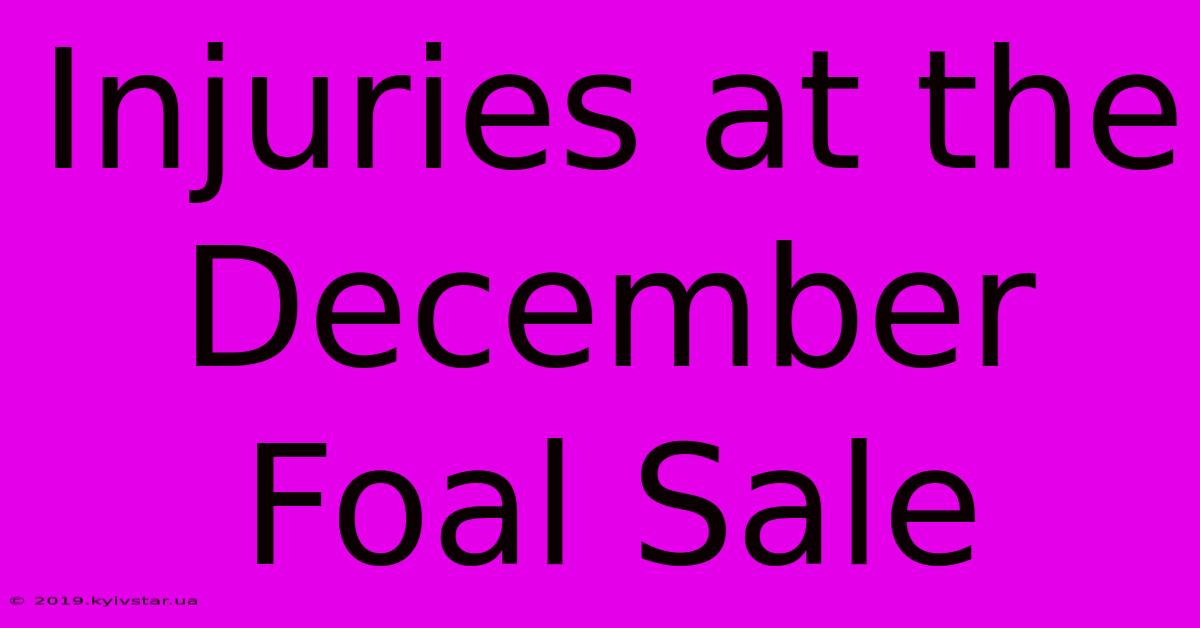 Injuries At The December Foal Sale