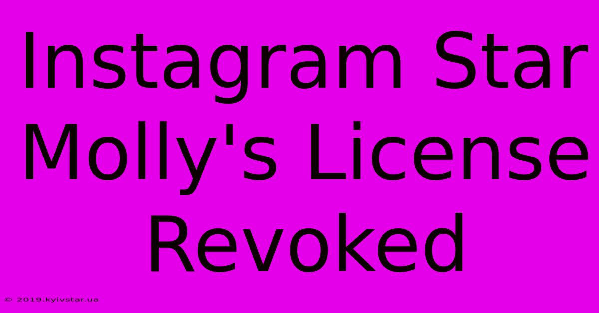 Instagram Star Molly's License Revoked