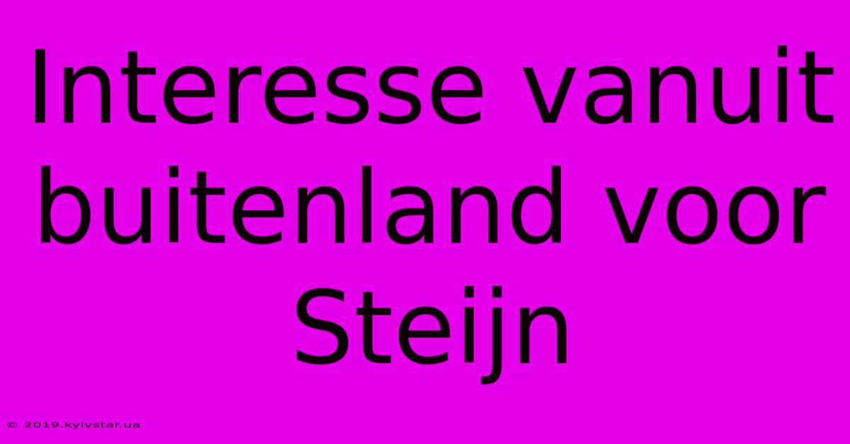 Interesse Vanuit Buitenland Voor Steijn