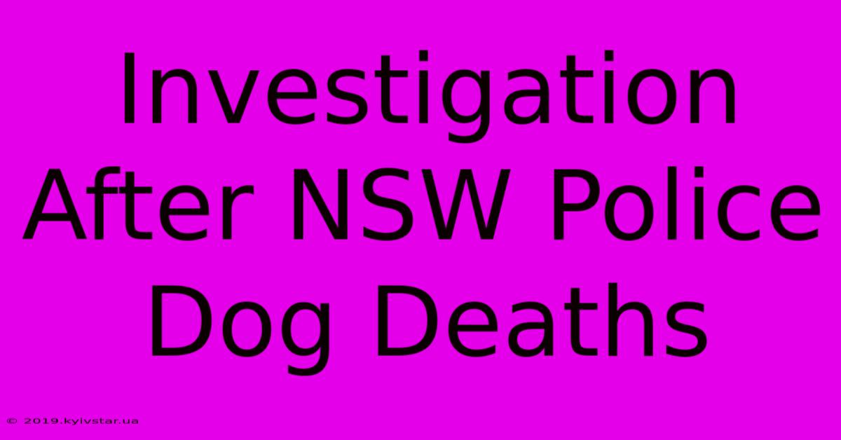 Investigation After NSW Police Dog Deaths