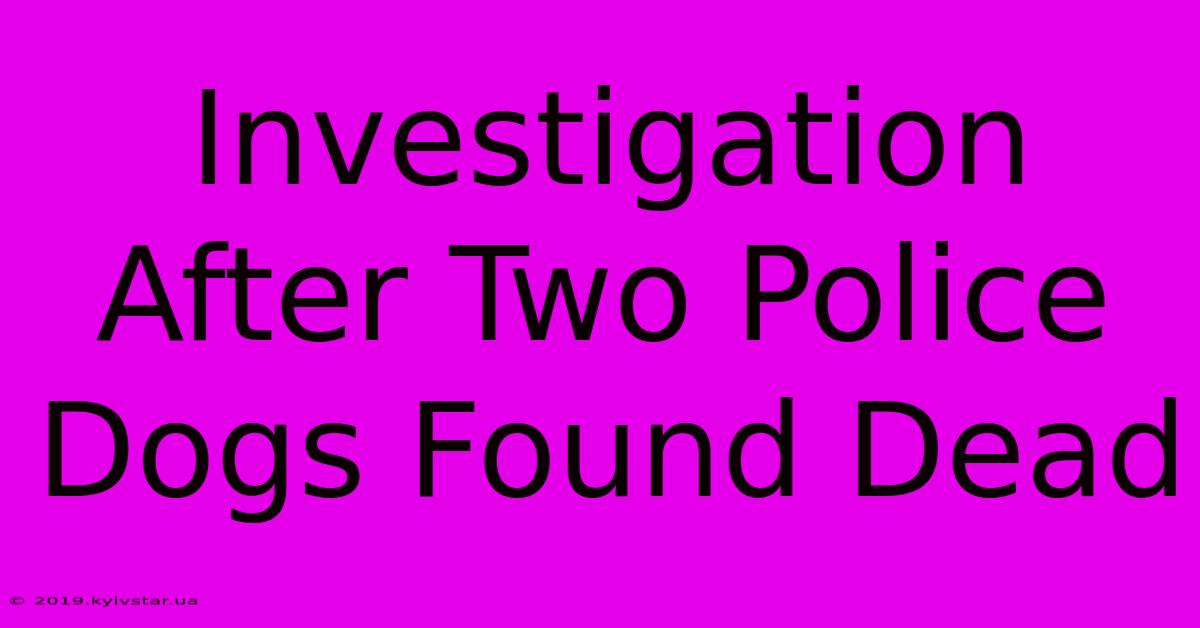 Investigation After Two Police Dogs Found Dead