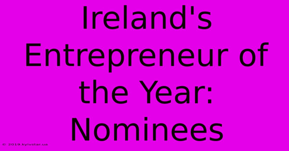 Ireland's Entrepreneur Of The Year: Nominees