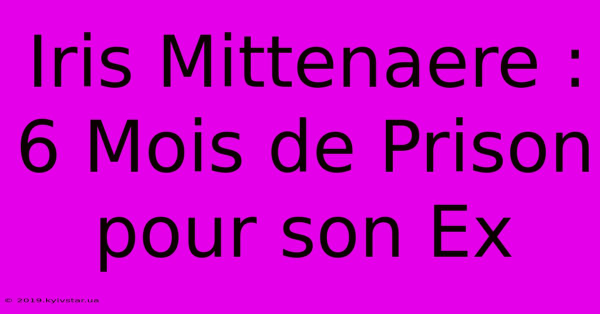 Iris Mittenaere : 6 Mois De Prison Pour Son Ex