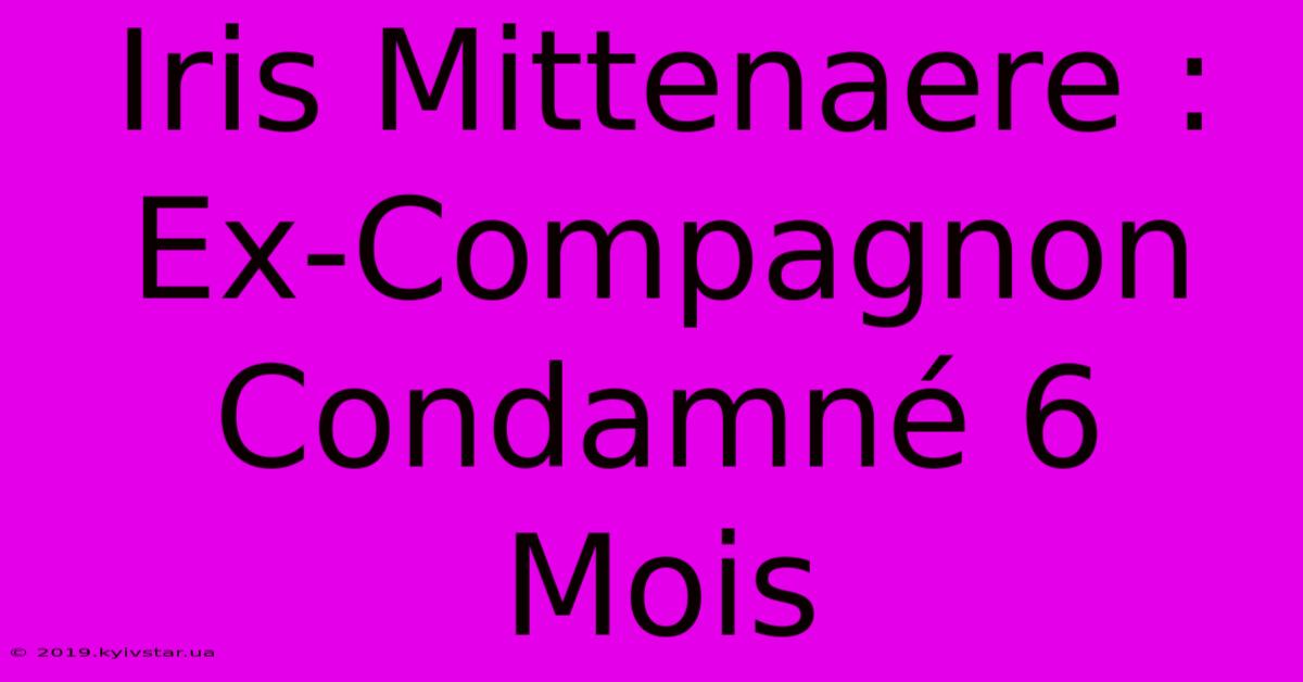 Iris Mittenaere : Ex-Compagnon Condamné 6 Mois