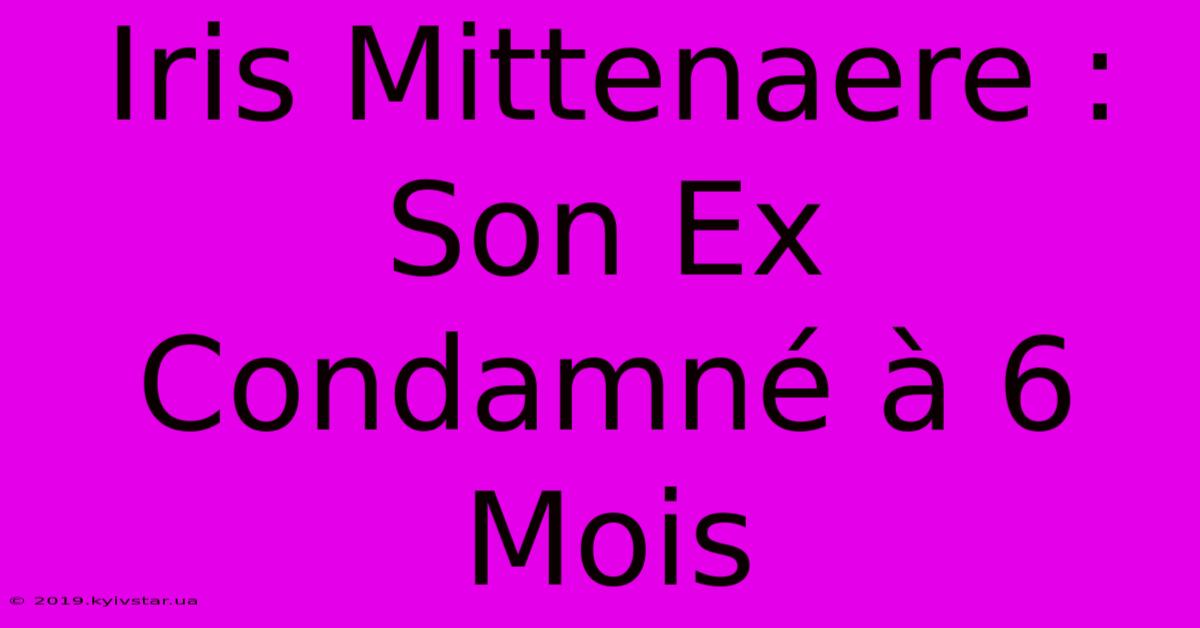 Iris Mittenaere : Son Ex Condamné À 6 Mois 