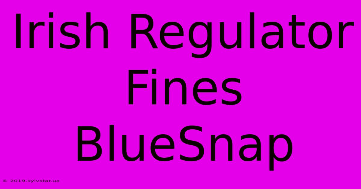 Irish Regulator Fines BlueSnap