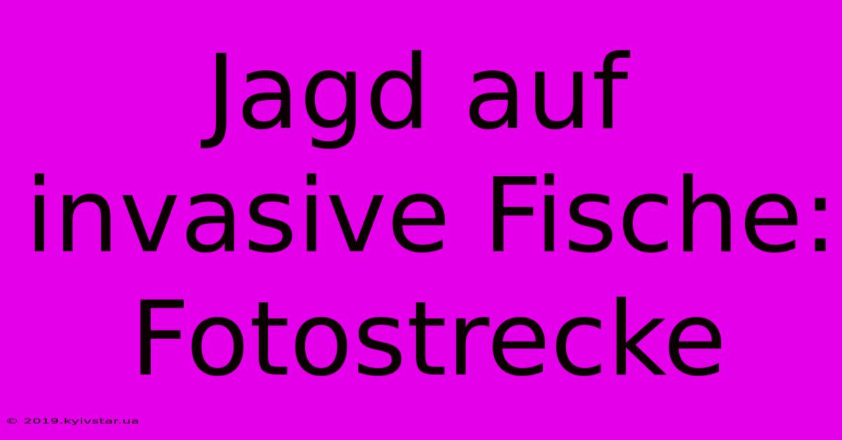 Jagd Auf Invasive Fische: Fotostrecke