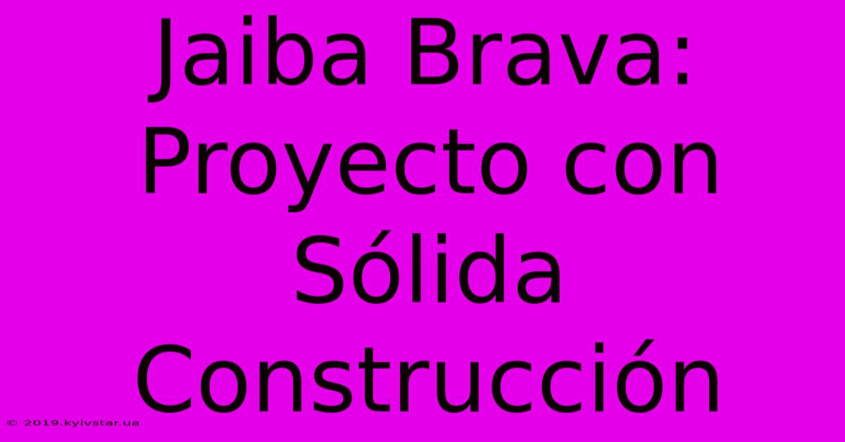 Jaiba Brava: Proyecto Con Sólida Construcción