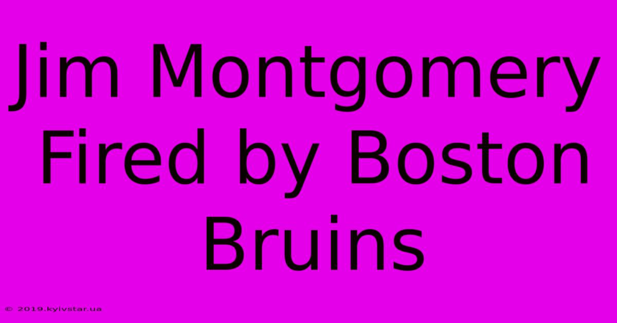 Jim Montgomery Fired By Boston Bruins