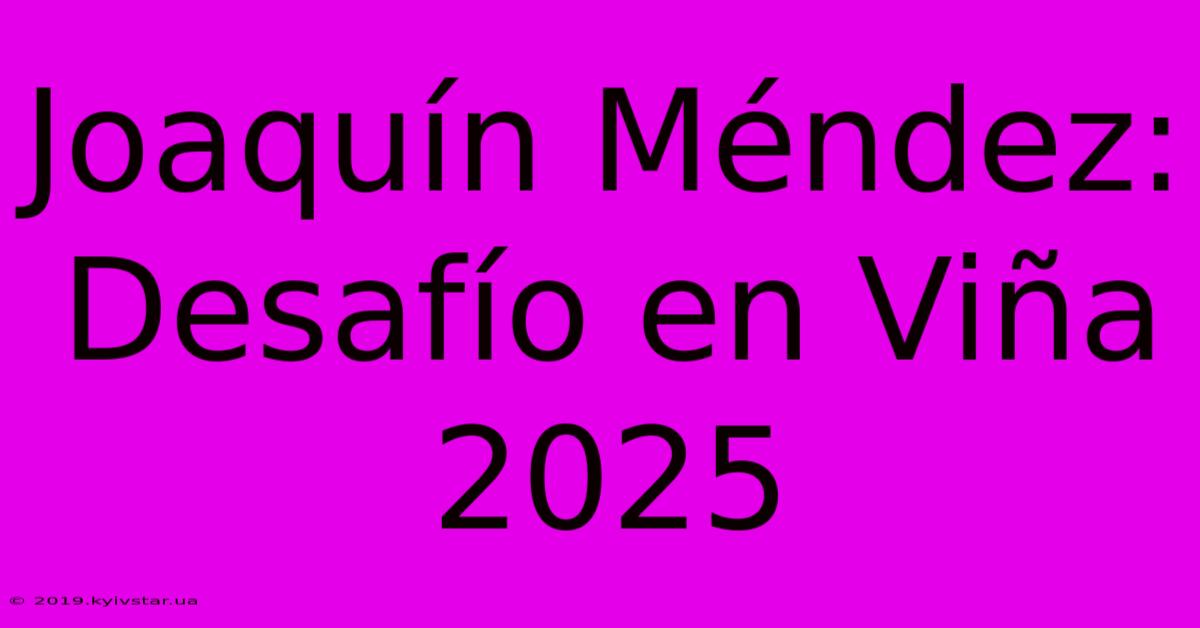 Joaquín Méndez: Desafío En Viña 2025