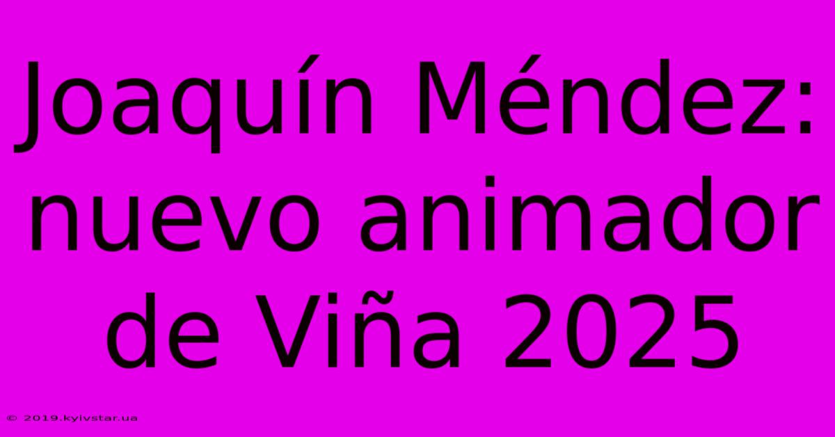 Joaquín Méndez: Nuevo Animador De Viña 2025 