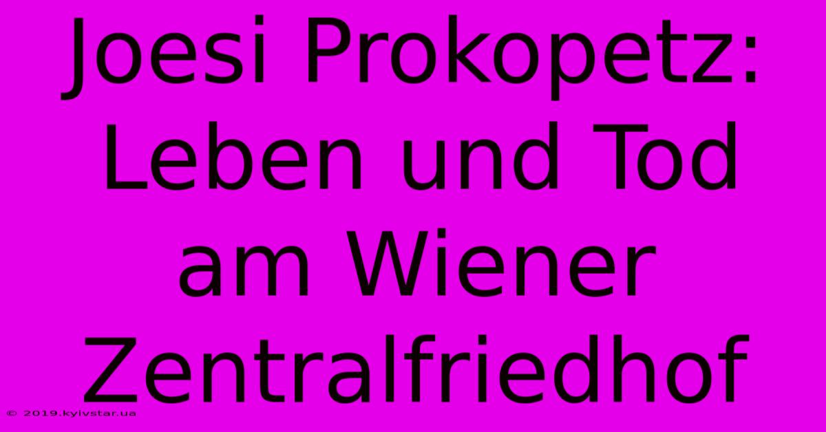 Joesi Prokopetz: Leben Und Tod Am Wiener Zentralfriedhof 