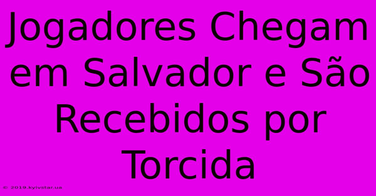 Jogadores Chegam Em Salvador E São Recebidos Por Torcida