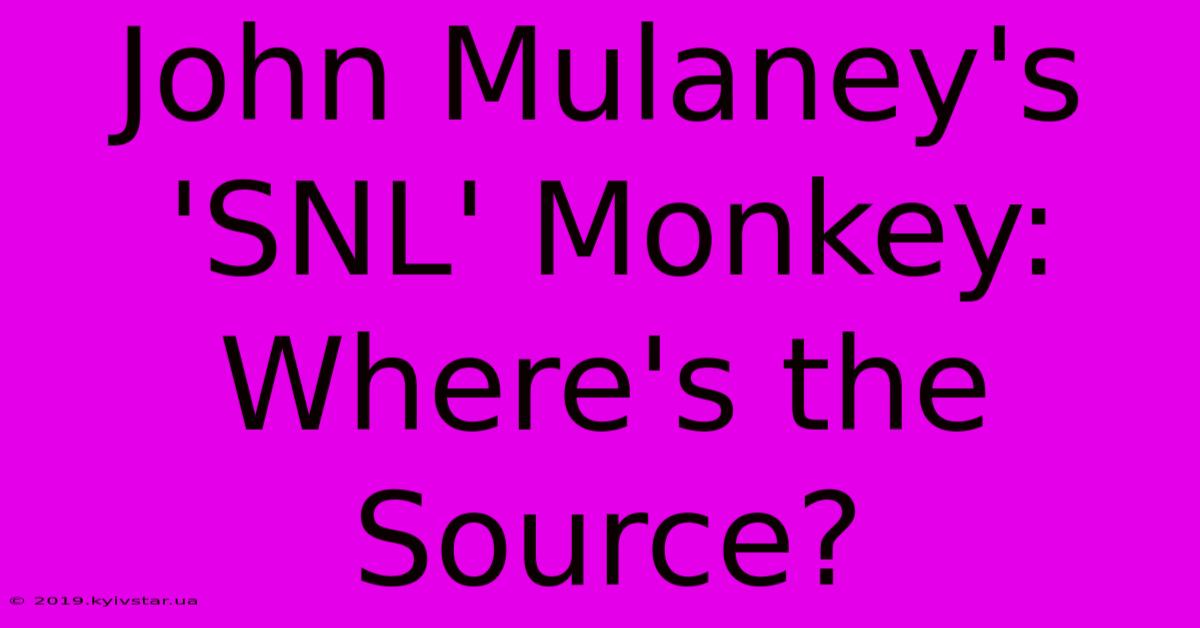 John Mulaney's 'SNL' Monkey: Where's The Source? 