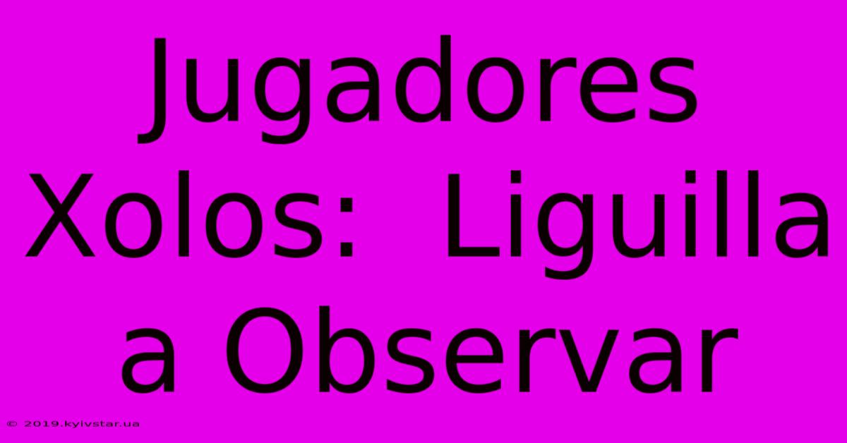 Jugadores Xolos:  Liguilla A Observar