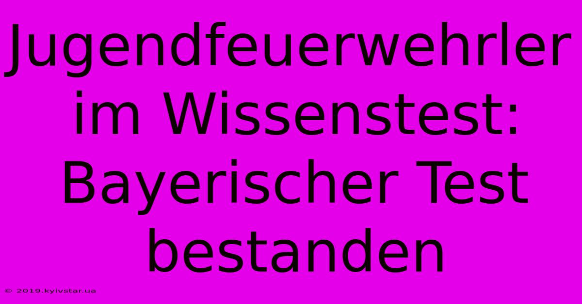 Jugendfeuerwehrler Im Wissenstest: Bayerischer Test Bestanden