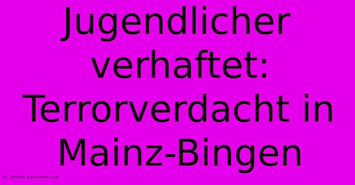 Jugendlicher Verhaftet: Terrorverdacht In Mainz-Bingen