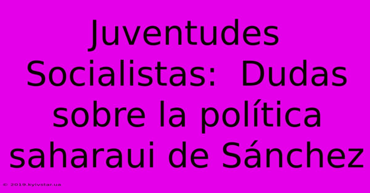 Juventudes Socialistas:  Dudas Sobre La Política Saharaui De Sánchez