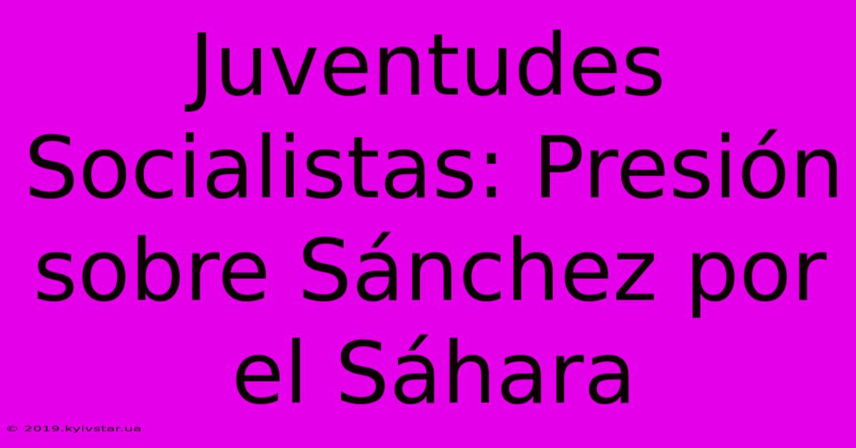 Juventudes Socialistas: Presión Sobre Sánchez Por El Sáhara