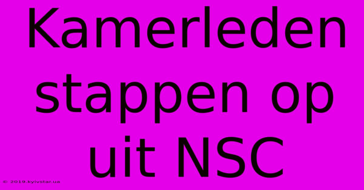 Kamerleden Stappen Op Uit NSC