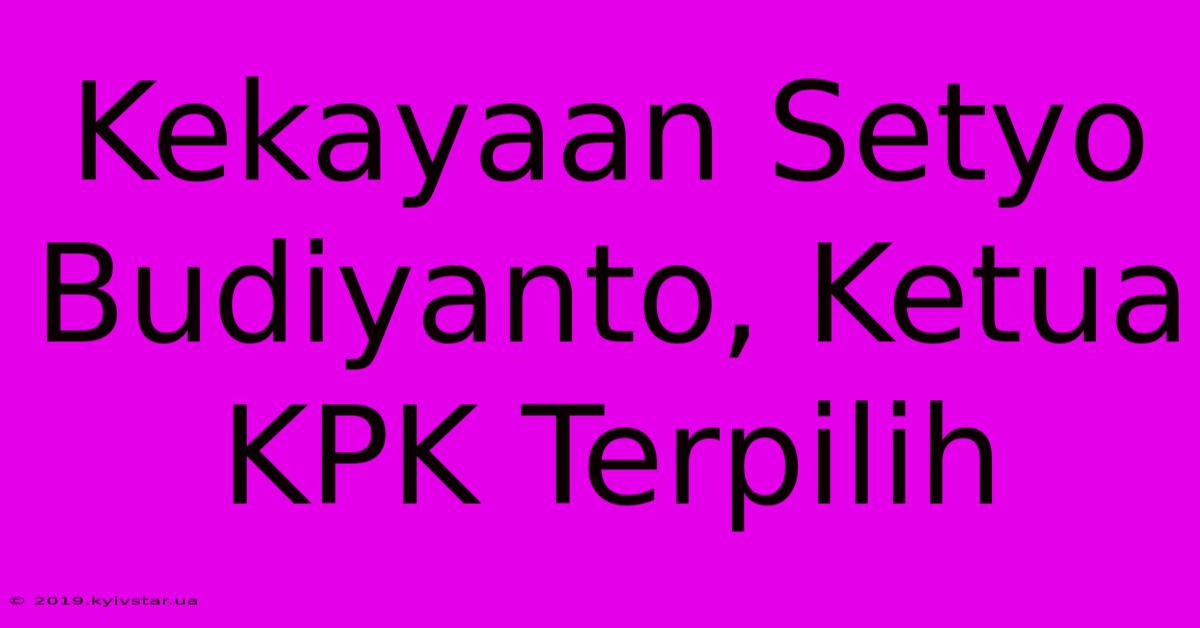 Kekayaan Setyo Budiyanto, Ketua KPK Terpilih