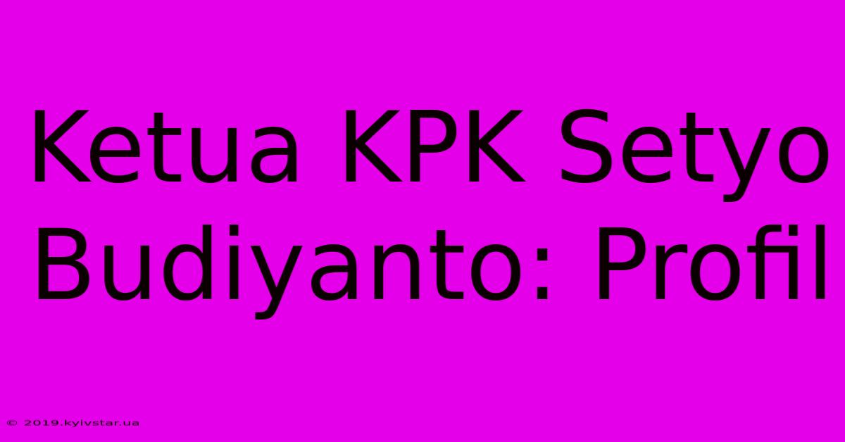 Ketua KPK Setyo Budiyanto: Profil